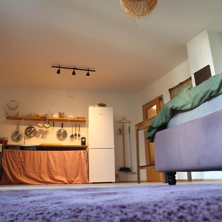 Cozy & Charming City Apartment ウィーン エクステリア 写真