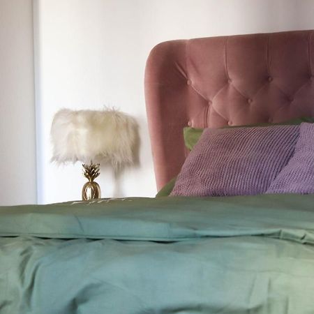 Cozy & Charming City Apartment ウィーン エクステリア 写真